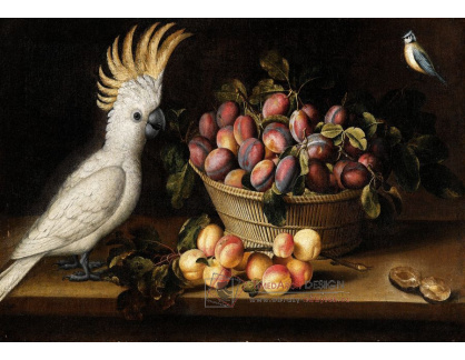 KO IV-342 Louise Moillon - Zátiší s meruňkami, koš švestek, kakadu a sýkora modřinka
