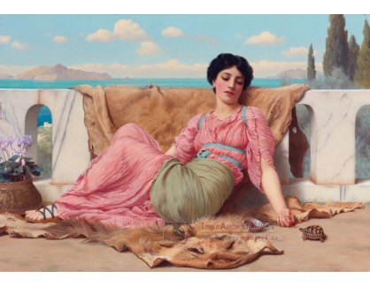 SO XIV-140 John William Godward - Želva