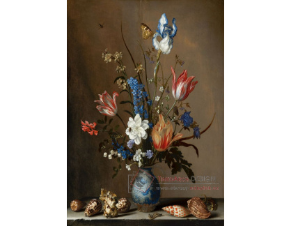 A-1392 Balthasar van der Ast - Květiny ve váze Wan-Li s mušlemi