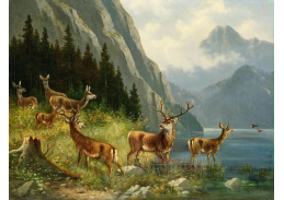 A-8744 Moritz Müller - Jeleni u horského jezera