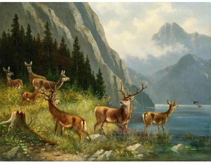A-8744 Moritz Müller - Jeleni u horského jezera