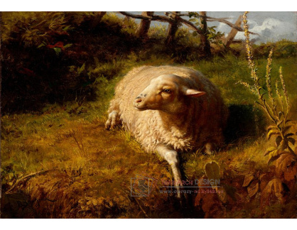 D-7610 Rosa Bonheur - Odpočívající ovce
