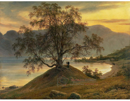 SO XIV-405 Thomas Fearnley - Stará bříza na Sognefjordu