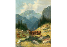 A-4649 Moritz Mueller - Řvoucí jelen na horách