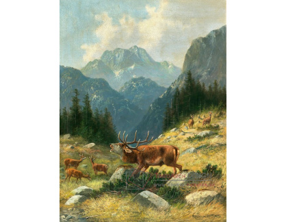 A-4649 Moritz Mueller - Řvoucí jelen na horách