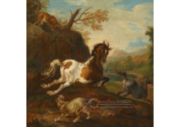 A-8834 Carl Ruthart - Tygr a leopard lovící dva koně