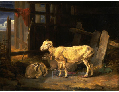 SO IX 242 James Ward - Ovce a jehňata
