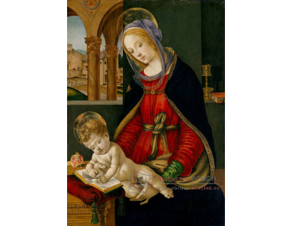 KO V-418 Filippino Lippi - Madonna a dítě