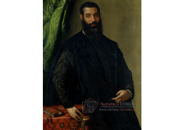 PORT-133 Francesco Salviati - Portrét muže