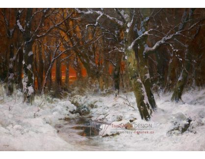 A-5274 Alois Arnegger - Západ slunce v zimním lese