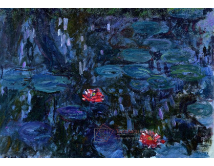 VCM 63 Claude Monet - Lekníny