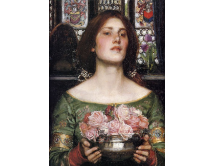 VSO57 John William Waterhouse - Poupata