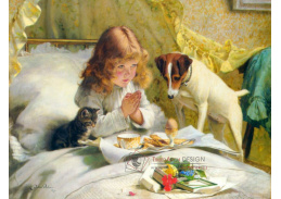 SO IV-322 Charles Burton Barber - Napětí