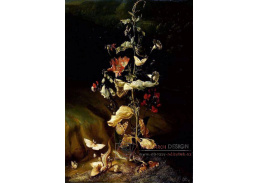 VKZ 156 Otto Marseus van Schrieck - Zátiší s květinami