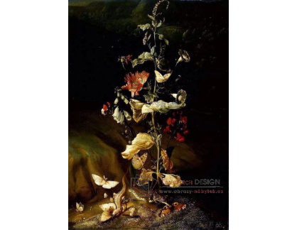 VKZ 156 Otto Marseus van Schrieck - Zátiší s květinami