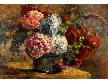 A-1308 Anna Peters - Hortenzie a růže