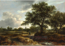 DDSO-3651 Jacob van Ruisdael - Krajina s vesnici v dálce