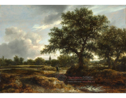 DDSO-3651 Jacob van Ruisdael - Krajina s vesnici v dálce