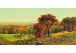 VP228 George Inness - Hudson Valley