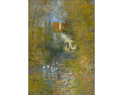 A-7755 Claude Monet - Husy