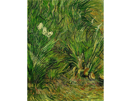 R2-492 Vincent van Gogh - Dva bílí motýli