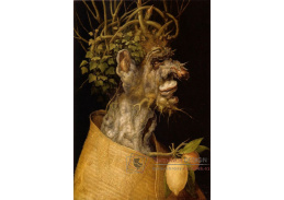 VGA9 Giuseppe Arcimboldo - Zima