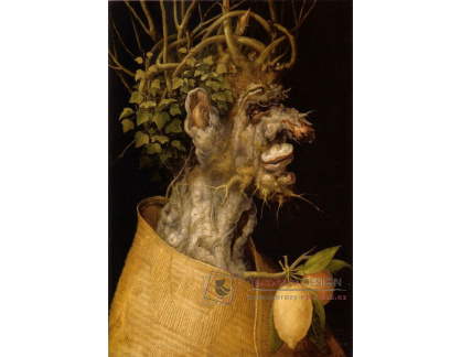 VGA9 Giuseppe Arcimboldo - Zima