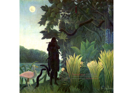 VF62 Henri Rousseau - Krotitel hadů