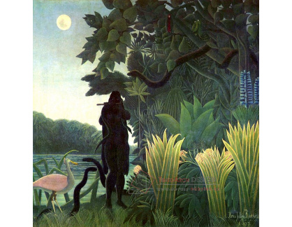 VF62 Henri Rousseau - Krotitel hadů