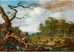 DDSO-3757 Jan Wijnants - Krajina na okraji lesa