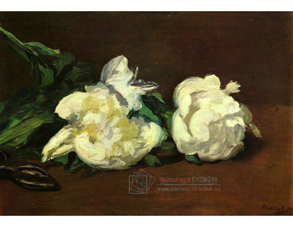 VEM 17 Édouard Manet - Zátiší s bílými pivoňkami