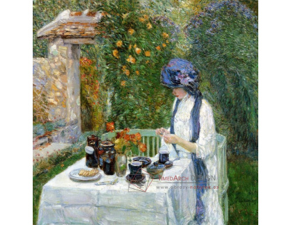 SO IV-40 Childe Hassam - Francouzská čajová zahrada