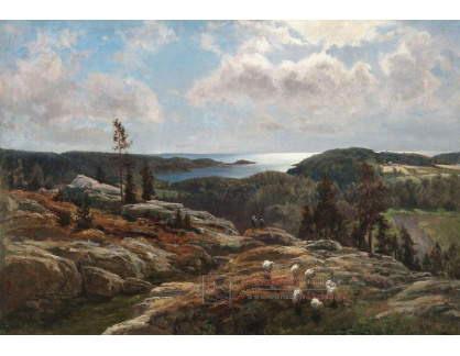 SO VIII-274 Berndt Lindholm - Krajina s ovcemi