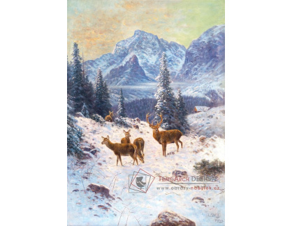 A-4911 Ludwig Skell - Stádo jelenů v zimě