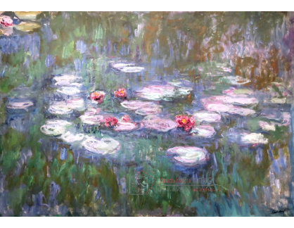 D-7073 Claude Monet - Lekníny