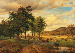 D-8802 Georg Heinrich Crola - Pastvina s krávami
