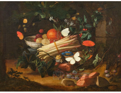 A-8642 Elias Van Den Broeck - Lesní zátiší