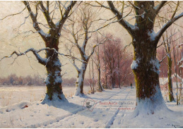 A-8882 Walter Moras - Zimní alej