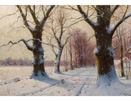 A-8882 Walter Moras - Zimní alej