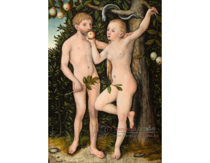 D-6079 Lucas Cranach - Adam a Eva