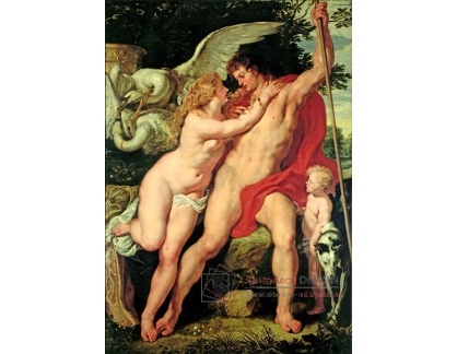 VRU229 Peter Paul Rubens - Venuše a Adonis