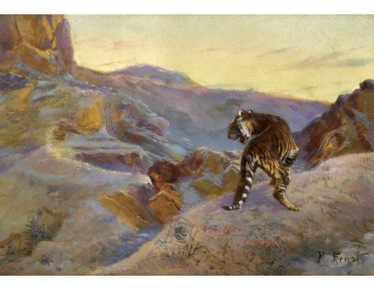 KO VI-324 Rudolf Ernst - Tygr v horách