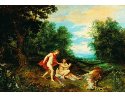 DDSO-3697 Jan Brueghel a Peter Paul Rubens - Apollo utěšující Cyparissuse