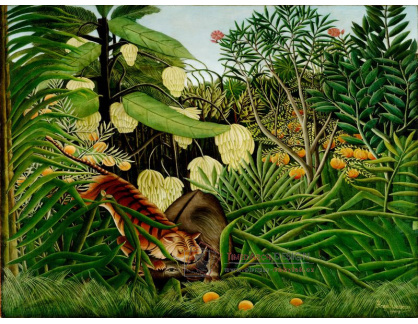 D-8162 Henri Rousseau - Boj mezi tygrem a buvolem