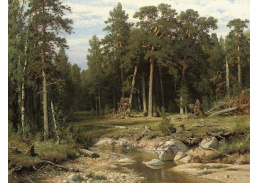 VR-314 Ivan Ivanovič Šiškin - Borový les v gubernii Vjatka