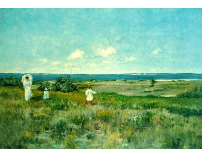 SO V-400 William Merritt Chase - Nedaleko pláže