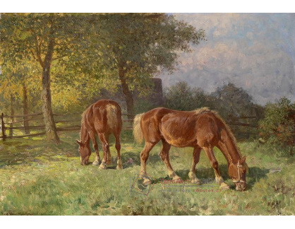 SO XIII-212 Fritz van der Venne - Pasoucí se koně
