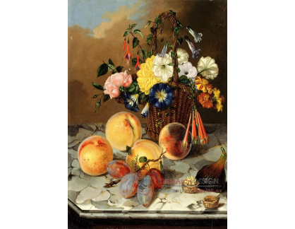 VKZ 520 Marija Auersperg Attems - Zátiší s květinami a ovocem 