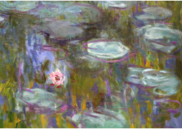 A-256 Claude Monet - Lekníny