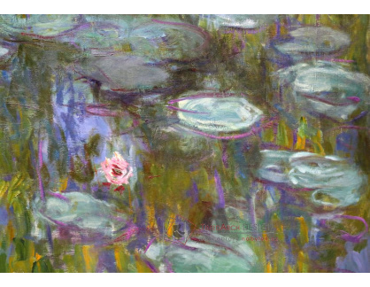 A-256 Claude Monet - Lekníny